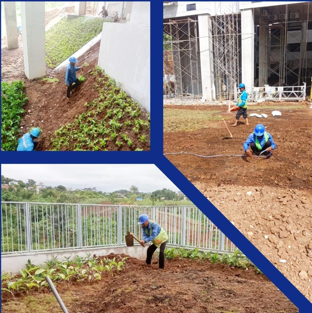 WhatsApp Image 2025-02-26 at 11.44.32