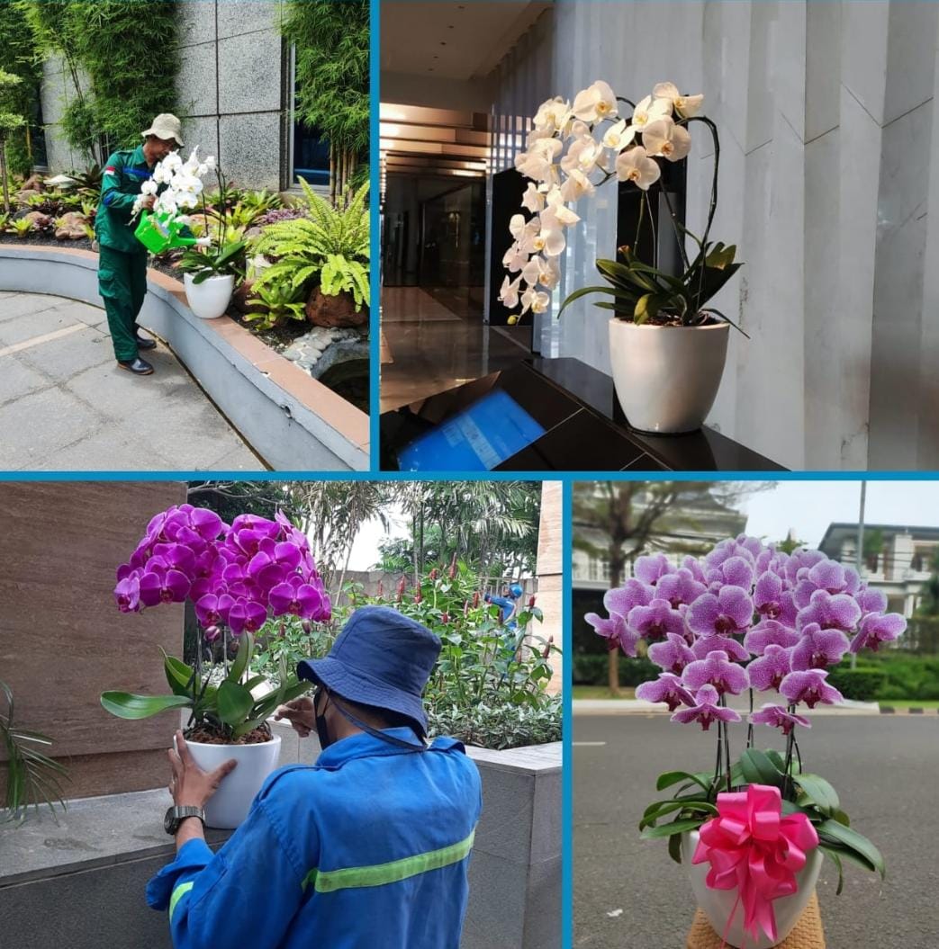 WhatsApp Image 2025-02-26 at 11.48.59